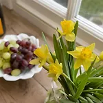 4 Bed In Kettlewell Oc-g0041 Starbotton